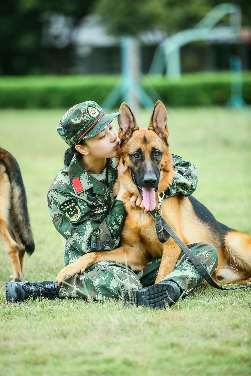 张馨予 奇兵神犬