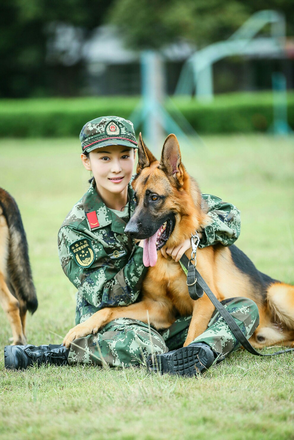 张馨予 奇兵神犬