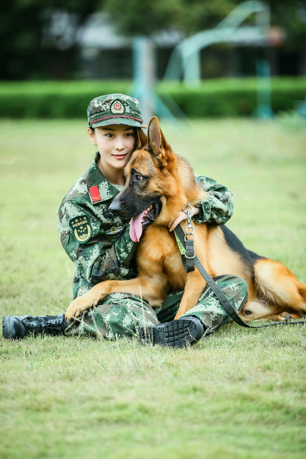 张馨予 奇兵神犬