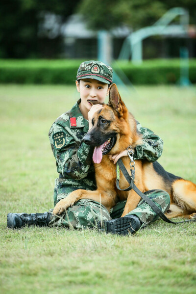 张馨予 奇兵神犬