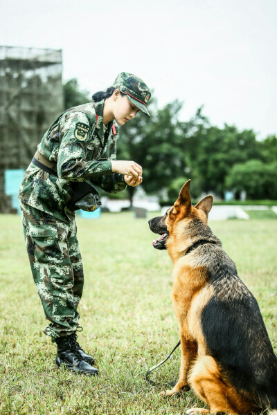 张馨予 奇兵神犬