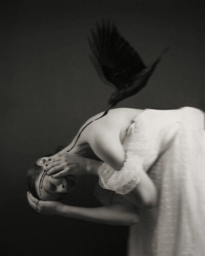 Josephine Cardin/Painted Blind