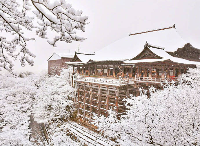 今年冬天想要去日本看一场大雪❄️ ​​​​