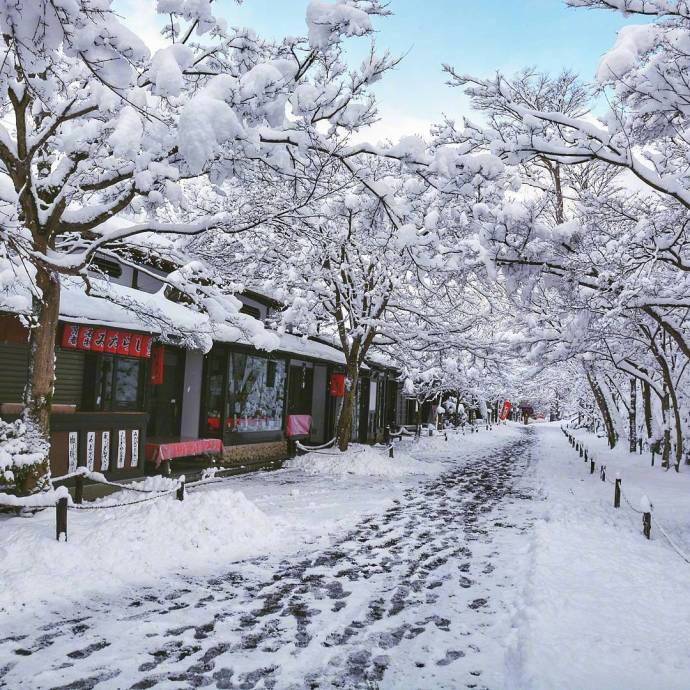 今年冬天想要去日本看一场大雪❄️ ​​​​