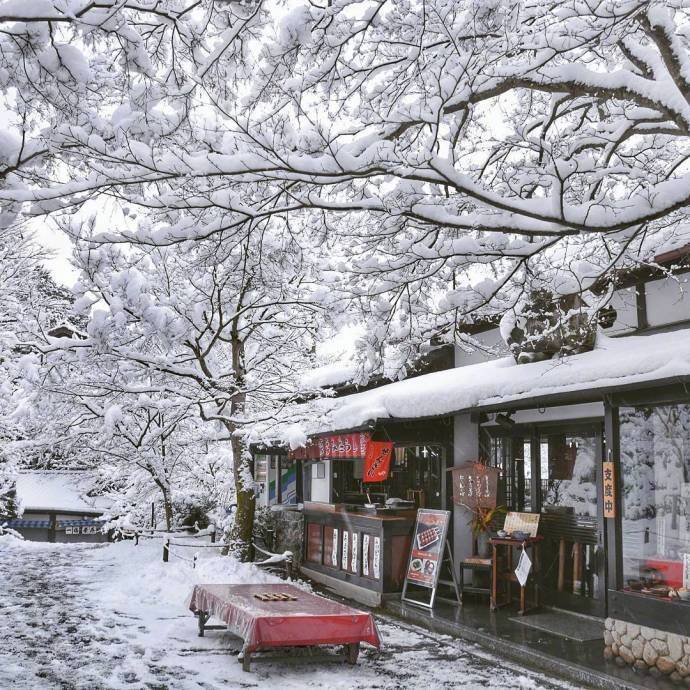 今年冬天想要去日本看一场大雪❄️ ​​​​