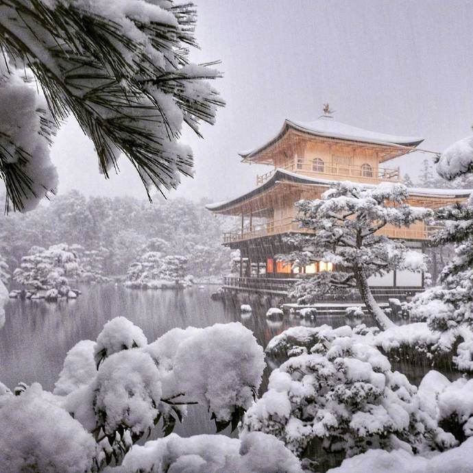 今年冬天想要去日本看一场大雪❄️ ​​​​