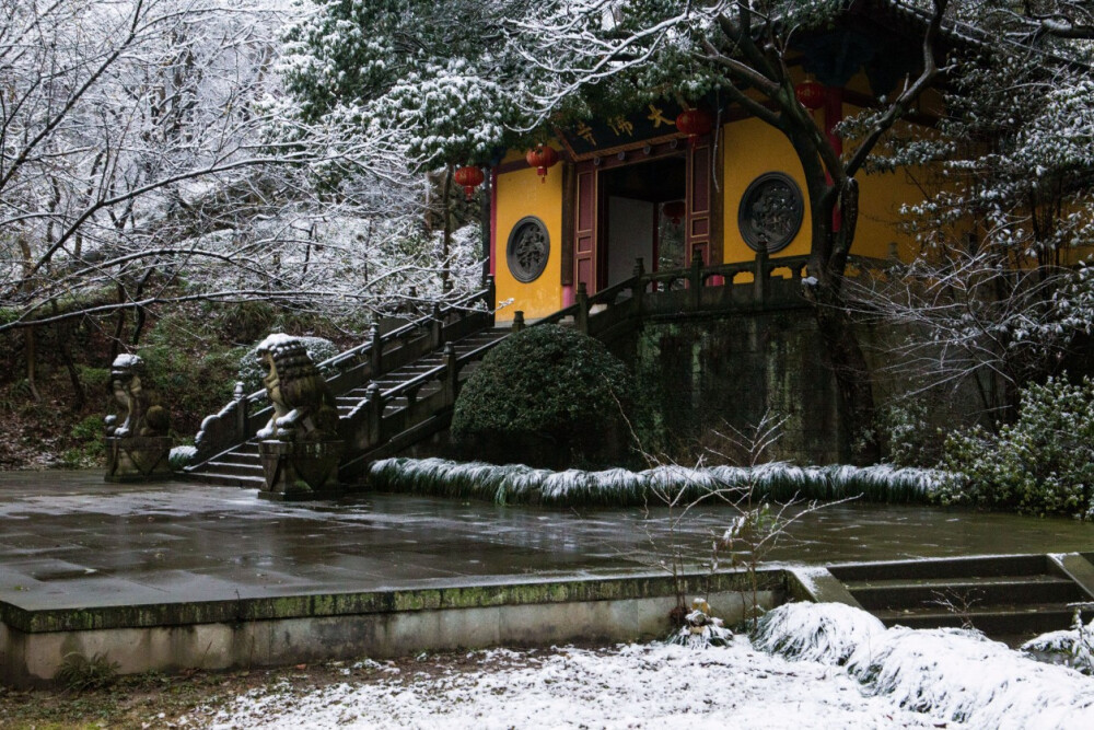 扫雪以待
来年花开