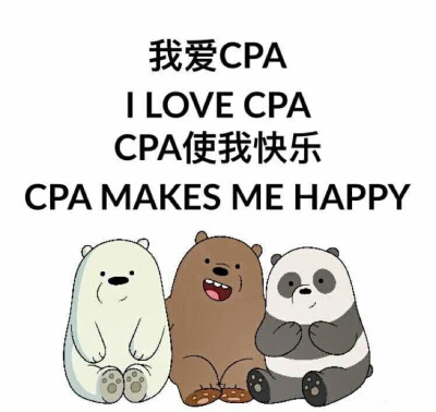 学习 我爱CPA