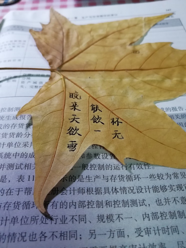 这个时候树叶超级多