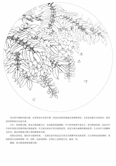 新雨后
带步骤图