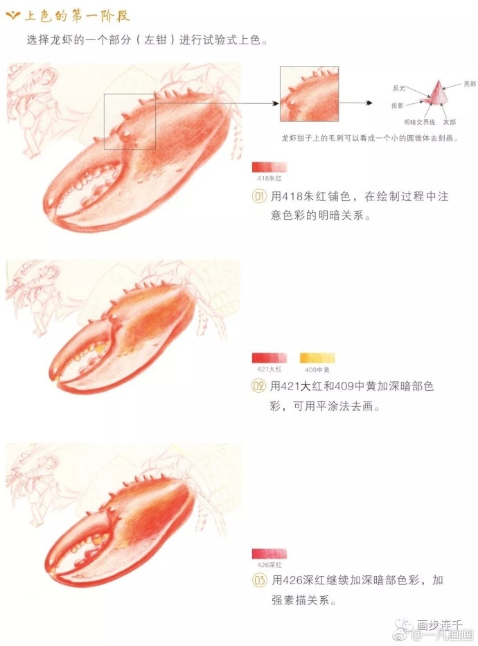 波士顿大龙虾