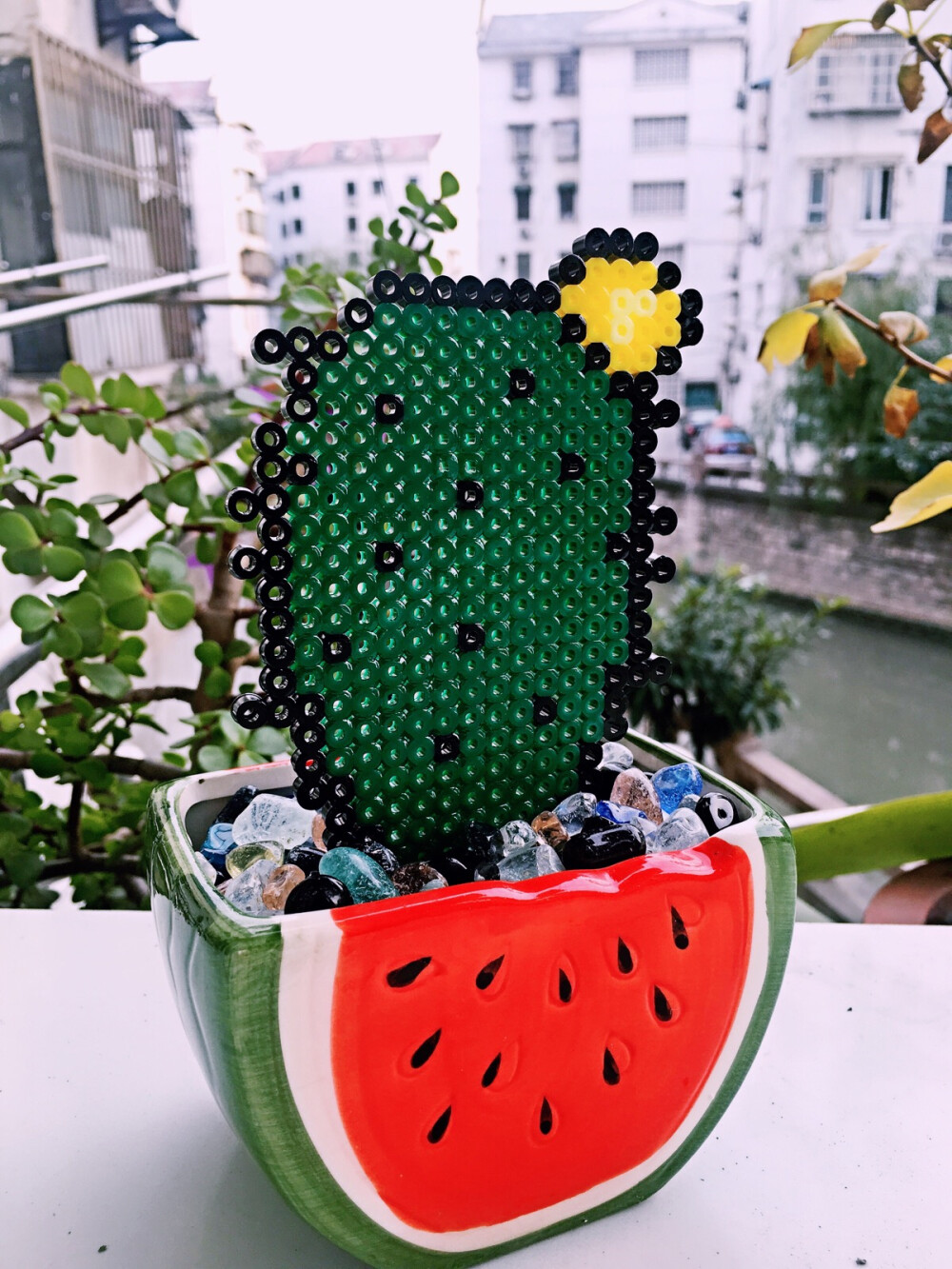 拼豆植物比永生花更长久的拼豆仙人掌