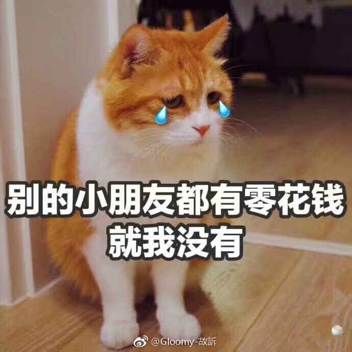 橘猫的表情包