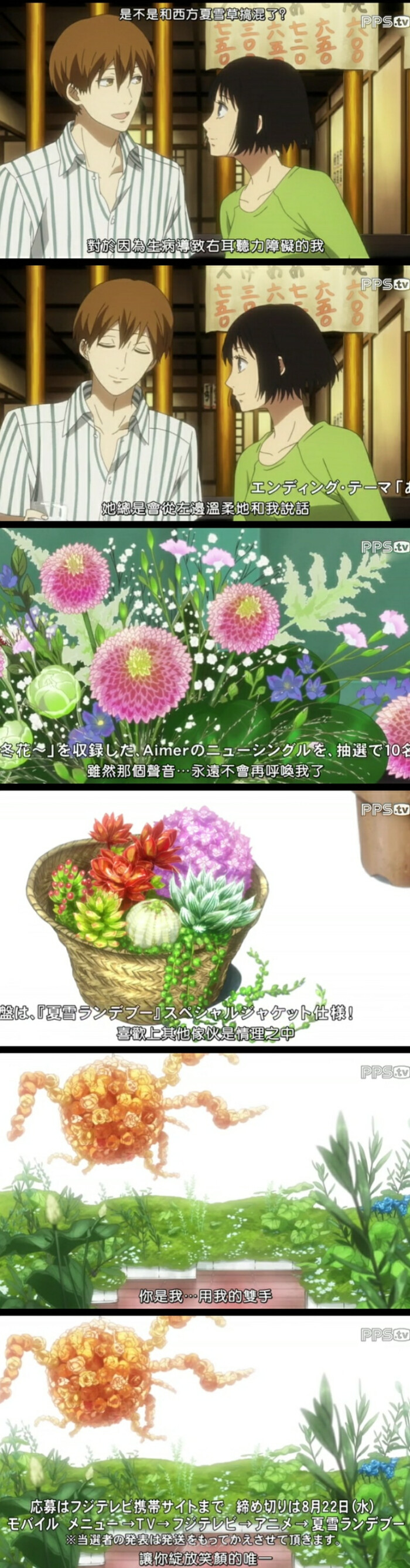 夏雪密会 岛尾笃 堆糖 美图壁纸兴趣社区