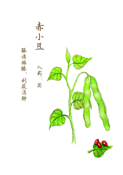 自己临摹的 作为书籍装帧结课作业的插画