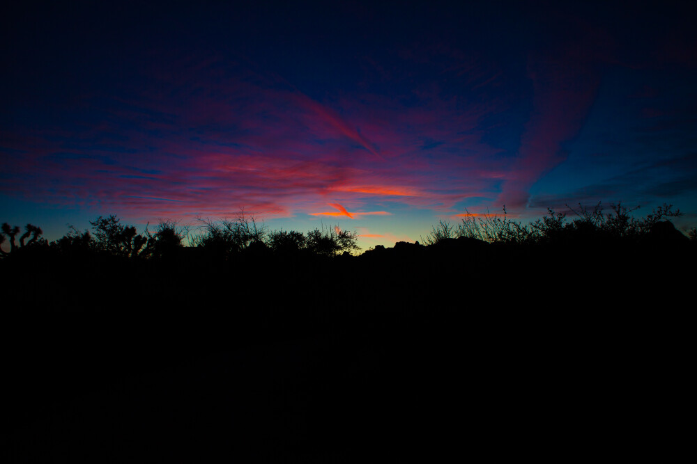 我追索人心的深度 却看到了人心的浅薄 ——木心 ​​​​
General 3840x2560 Joshua Tree National Park landscape evening sunset