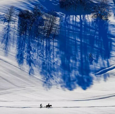 冬雪