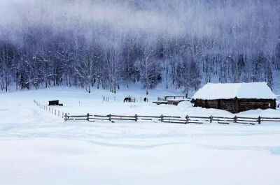 冬雪