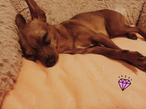 睡的忘记时间ʚ˙Ꙫ˙ɞ