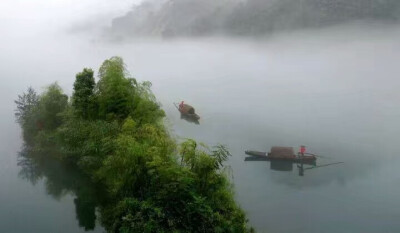 柳枝经雨重，松色带烟深。