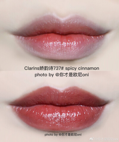 Clarins娇韵诗#737 spicy cinnamon