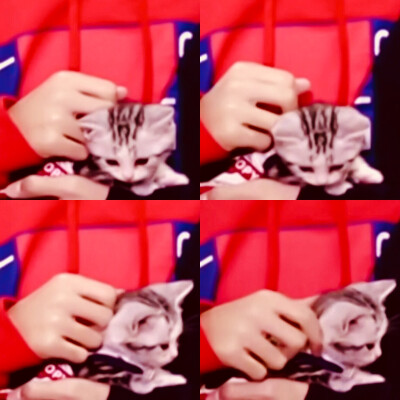 嗷嗷嗷我们的小可爱