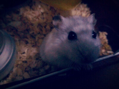 人们把难言的爱都埋入土壤里