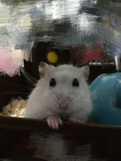 人们把难言的爱都埋入土壤里