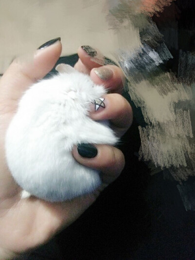 人们把难言的爱都埋入土壤里