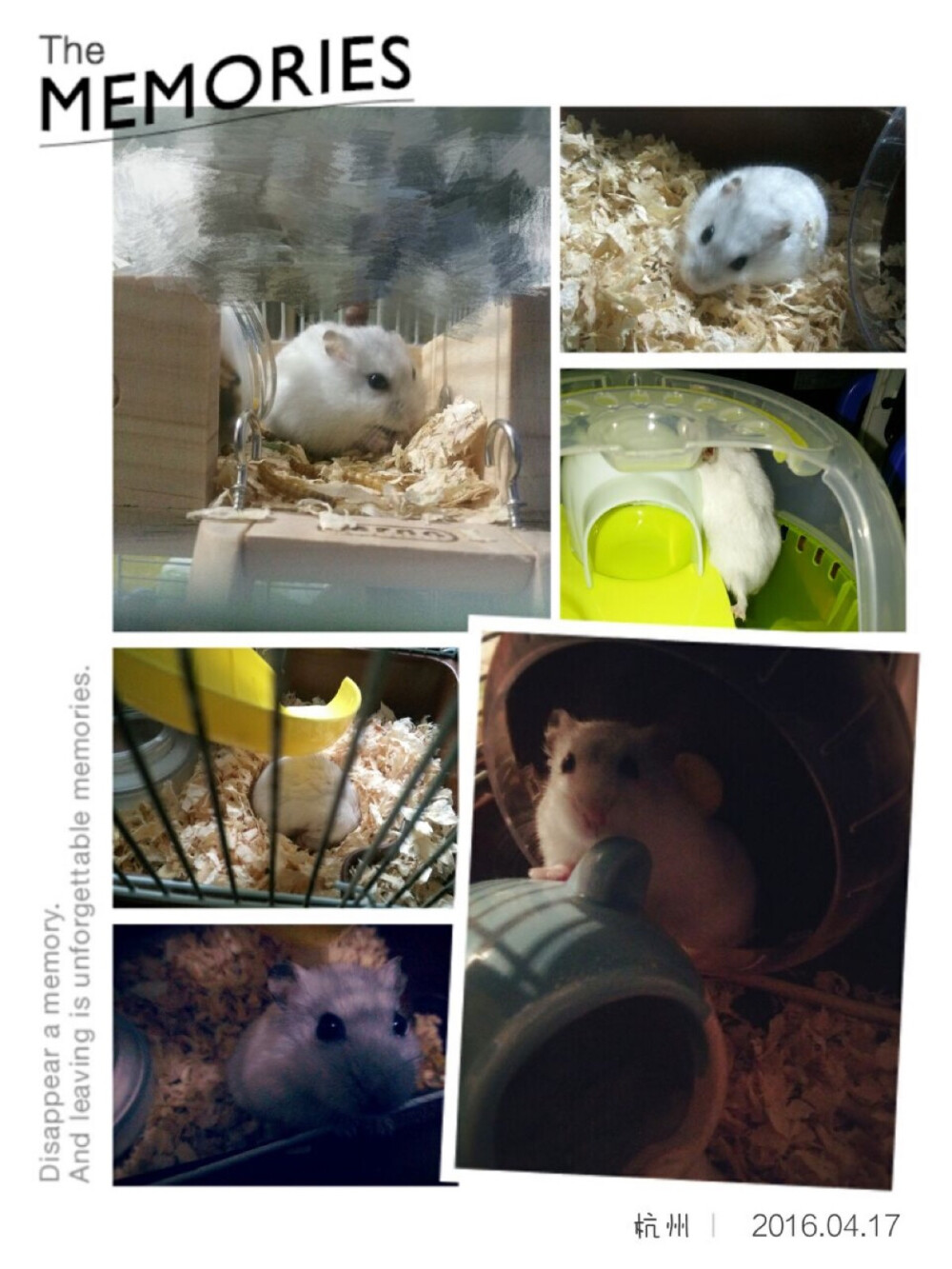 人们把难言的爱都埋入土壤里