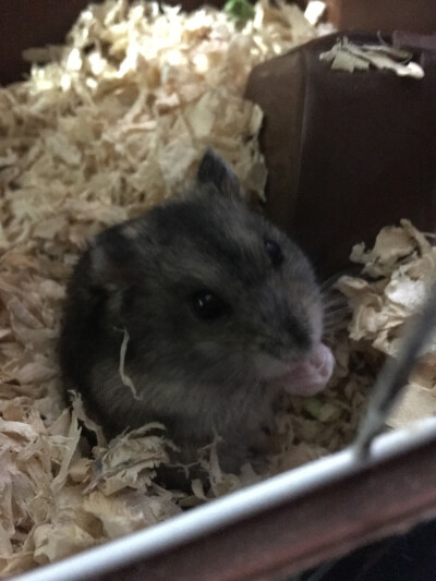 人们把难言的爱都埋入土壤里