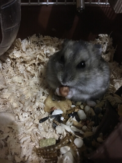 人们把难言的爱都埋入土壤里