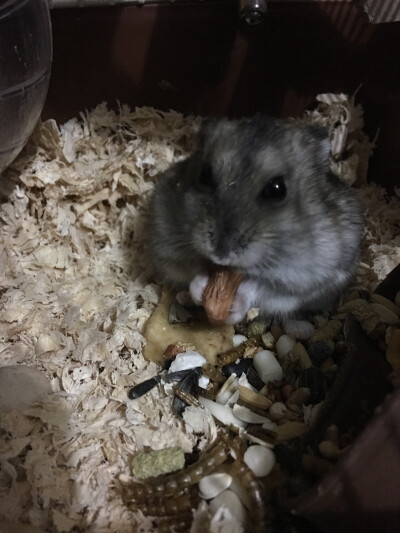 人们把难言的爱都埋入土壤里