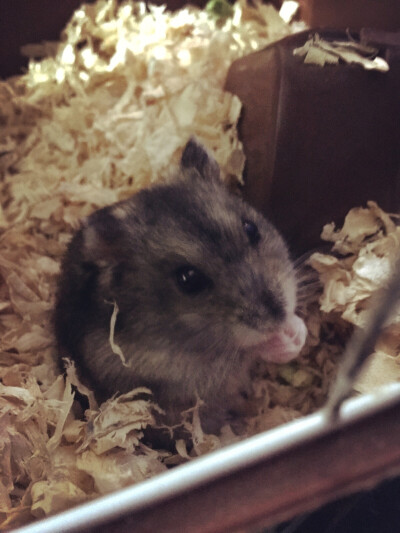 人们把难言的爱都埋入土壤里