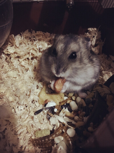 人们把难言的爱都埋入土壤里