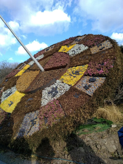 北京植物园＆曹雪芹纪念馆秋游研学
11月22号，我们三十九中的高一全体学生前往香山脚下的北京植物园和园内的曹雪芹纪念馆秋游并进行研学活动，我们高一全体学生不仅玩得很开心，从中学到了一些植物的知识和曹雪芹的…