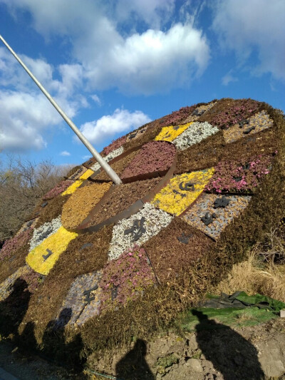 北京植物园＆曹雪芹纪念馆秋游研学
11月22号，我们三十九中的高一全体学生前往香山脚下的北京植物园和园内的曹雪芹纪念馆秋游并进行研学活动，我们高一全体学生不仅玩得很开心，从中学到了一些植物的知识和曹雪芹的…