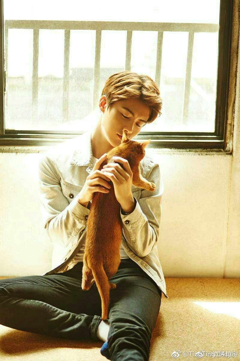 #马天宇#我本浪人