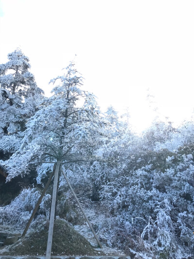 成都篇——峨眉山随手一拍就是景