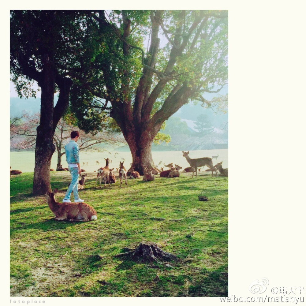 #马天宇#我本浪人