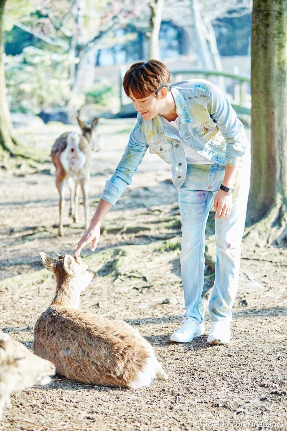 #马天宇#我本浪人