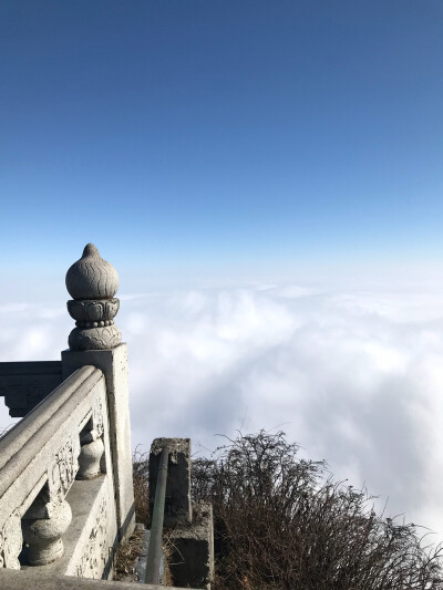 成都篇——峨眉山随手一拍就是景