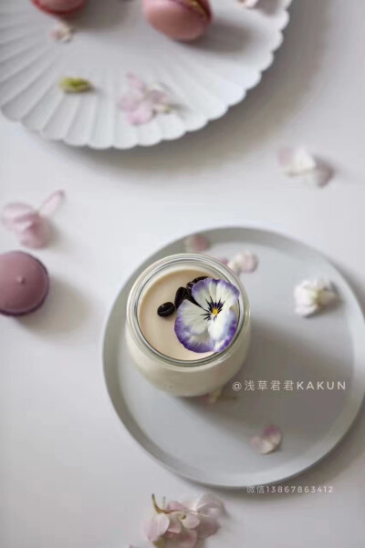 浅草老师家奶冻