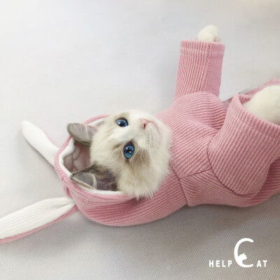 定制 护驾helpcat 宠物可爱兔子装 秋冬宠物衣服小猫幼猫衣服秋冬