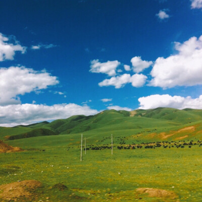 沿途风景