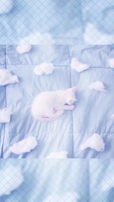 可爱 蓝色 壁纸