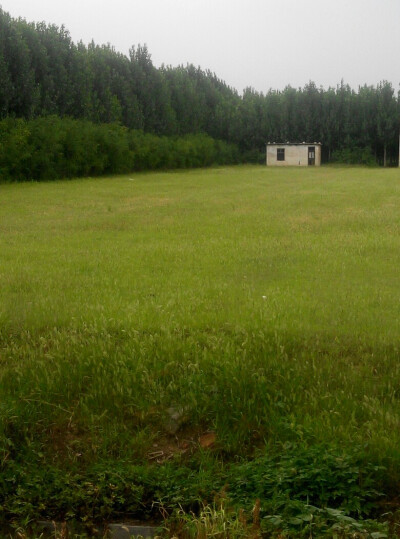 孤立的小屋 被荒草淹没的道路 我读不懂这里发生的故事 你呢