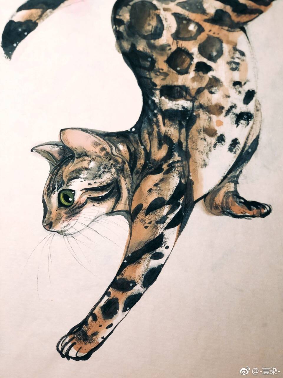 [cp]一种香猫,如狸,出大理府,文如金钱豹,此即《楚辞》所谓文狸.