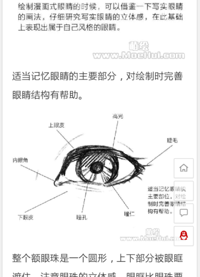 眼睛结构