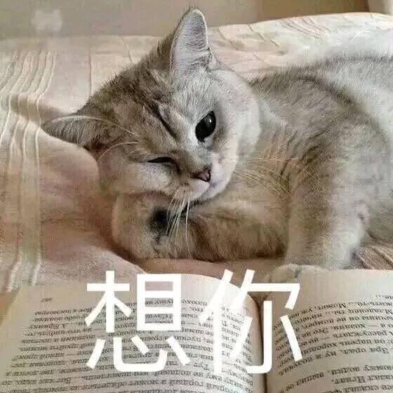 想你